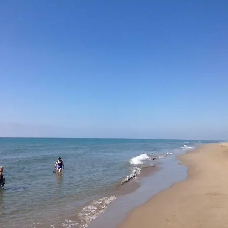 Casa Eucaliptus * L'Eucaliptus