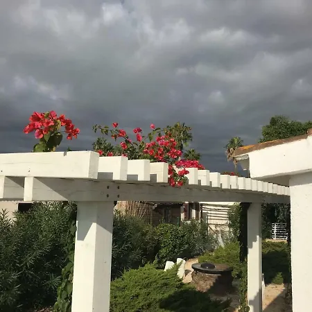 Casa Eucaliptus * L'Eucaliptus