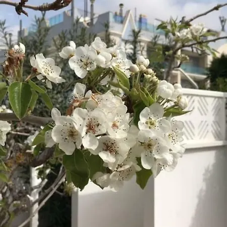 בית נופש Casa Eucaliptus